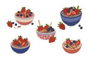 Set of Smoothie Bowl with Berries, Strawberry, and Nuts Illustration vector