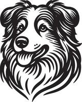 Australian Shepherd Dog Shepherd s Heart Design vector