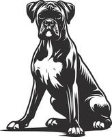 Powerful Boxer Presence vector