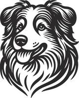 Elegant Aussie Lines vector