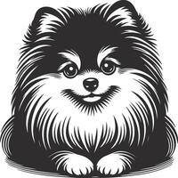 Minimalist Pomeranian Design vector