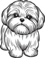 Loyal Shih Tzu Line Art vector