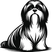Shih Tzu in Clean Lines vector