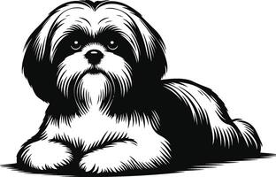 Subtle Shih Tzu Outline vector