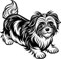 Abstract Shih Tzu Form vector