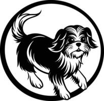 Essence of Shih Tzu vector