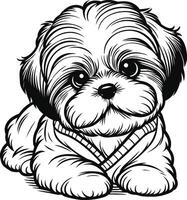 Friendly Shih Tzu Design vector