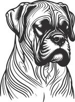 Timeless Boxer Look vector