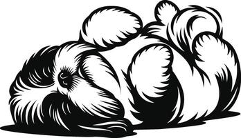 Basic Shih Tzu Form vector