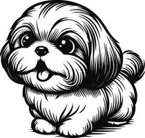 Elegant Shih Tzu Outline Art vector