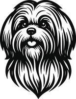 Modern Shih Tzu Sketch vector