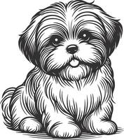 Shih Tzu Flowing Fur Design vector