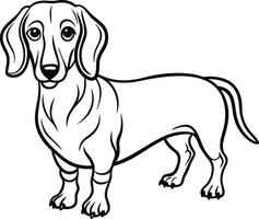 one line drawing Dachshund dog vector