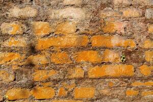 old brick wall overgrown with moss, texture and background. photo