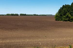 plowed field landscape. Ploughed field in spring prepared for sowing photo