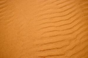 Closeup of sand ripples on a beach. Natural rhythmic wave like pattern formed by wind and water. Textured background displaying the delicate wavy texture of coastal landscape. photo