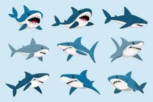 Sharks in different poses on a blue background vector