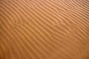 Closeup of sand ripples on a beach. Natural rhythmic wave like pattern formed by wind and water. Textured background displaying the delicate wavy texture of coastal landscape. photo