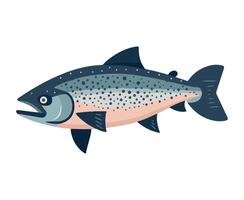 Cute carp with teeth caught in summer isolated vector