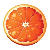 Fresh citrus slices, ripe and juicy goodness isolated vector