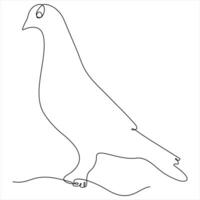 Single line continuous line art drawing of bird minimalist bird pigeon outline design vector
