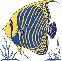 Drawing of Emperor Angelfish vector