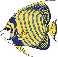 Drawing of Emperor Angelfish from the Atlantic Ocean vector