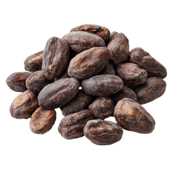 Cocoa beans isolated on a transparent background showcasing their natural dark color and unique texture in a arrangement, Cocoa beans isolated on transparent background png