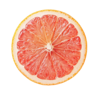Freshly cut slice of ripe pink grapefruit showcasing juicy segments and vibrant colors against a transparent background, Ripe slice of pink grapefruit citrus fruit isolated on transparent background png
