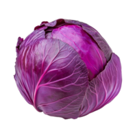Fresh purple cabbage isolated on a clean transparent background showcasing its vibrant color and texture, purple cabbage isolated on transparent background png