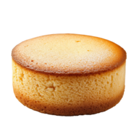 Basic sponge cake isolated on a transparent background with a smooth texture and golden edges, basic sponge cake isolated on transparent background png