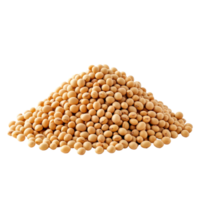 A large heap of soybeans isolated on a clean transparent background for agricultural and nutritional purposes, Heap of soybeans isolated png