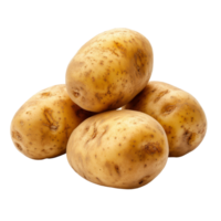 Fresh, organic potatoes piled together on a pristine transparent background ready for culinary preparations, potatoes isolated on transparent background png