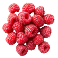 Fresh ripe raspberries clustered together on a clean transparent background highlighting their vibrant color and texture, ripe raspberries on transparent background png