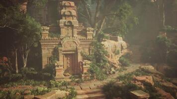Ancient Mayan Temple Amongst Trees video
