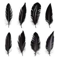 Elegant feather silhouettes in various shapes and sizes against a clean background for artistic use, feather silhouette png