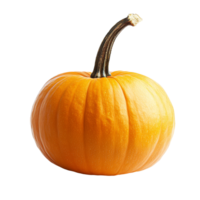 Bright orange pumpkin isolated on a clean transparent background showcasing its smooth texture and curved stem, pumpkin isolated on transparent background png