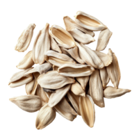 Peeled sunflower seeds isolated against a pure transparent backdrop showcasing their natural texture and color, Peeled Sunflower seeds isolated on transparent background png