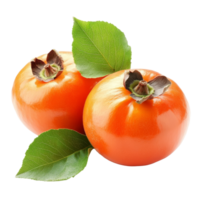 Fresh ripe persimmons with green leaves isolated on a bright transparent background for culinary uses and presentations, fresh ripe persimmons with leaf isolated on transparent background png