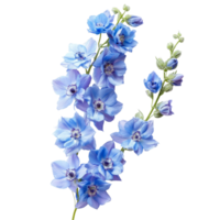 Delphinium flowers in a beautiful floral arrangement isolated on a soft background for elegant decor, delphinium flowers in a floral arrangement isolated on transparent background png