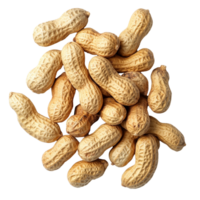 A group of raw peanuts isolated on a clean transparent background for culinary and snack preparation, Group of peeled and unpeeled peanuts isolated on transparent background png