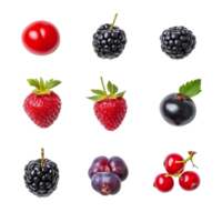 A vibrant collection of fresh berries including strawberries, blackberries, and currants arranged on a transparent background in a creative layout, beef on leaves top view isolated on transparent background png