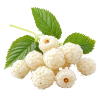 Fresh transparent raspberries on a clean transparent background showcasing their unique texture and appearance, transparent raspberries isolated on transparent background png