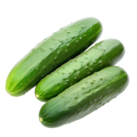 Fresh cucumbers displayed on a clean transparent background highlighting their vibrant green color and natural texture, fresh cucumbers on transparent background png