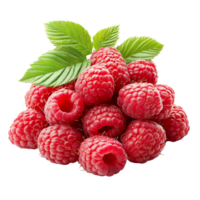 Fresh raspberries stacked with green leaves isolated on transparent background showcasing natural colors and textures, stack of fresh raspberries with leaves isolated on transparent background png