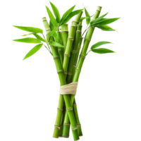 A vibrant bunch of green bamboo with lush leaves, showcasing natural beauty in a transparent hue, bamboo bunch with green leaves, file of isolated object on transparent background png