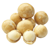 Fresh macadamia nuts on a transparent background showcasing their unique shape and texture, fresh macadamia nut on transparent background png