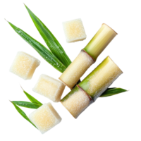 Fresh sugarcane stalks and sugar cubes arranged on a transparent background with green leaves, sugarcane and sugar cube on transparent background png