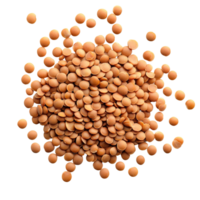 Brown lentils scattered on a transparent background showcasing their natural color and texture for culinary uses, Brown Lentils isolated on transparent background png