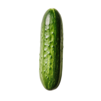 Fresh green cucumber resting on a clean transparent background, showing its texture and natural shine in lighting, striped cucumber on transparent background png